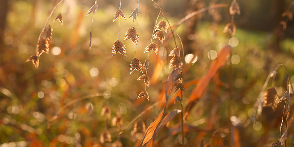 十一月二日天气晴