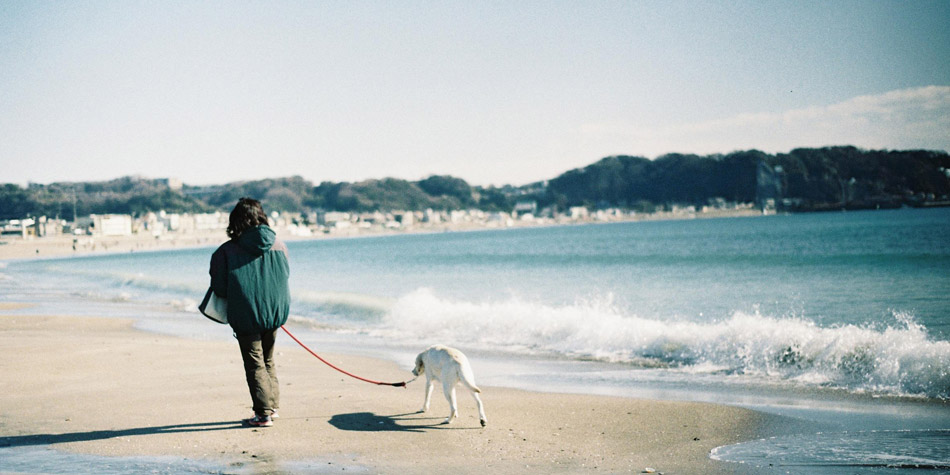 只言片语 – 致小妹