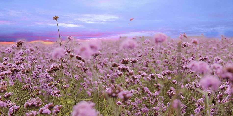 习惯了你的幸福