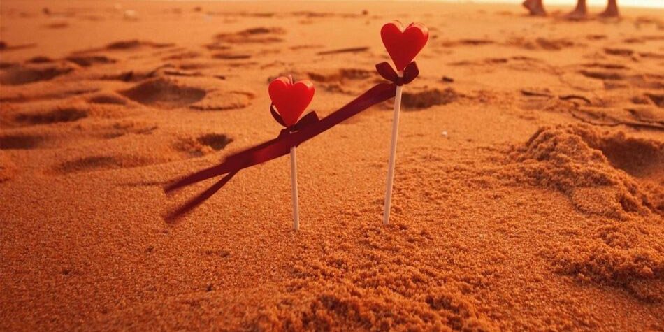 灵魂要用爱来滋养