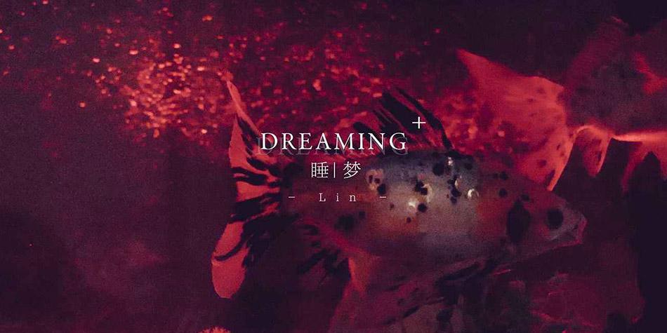 如果这个清晨我未能醒来