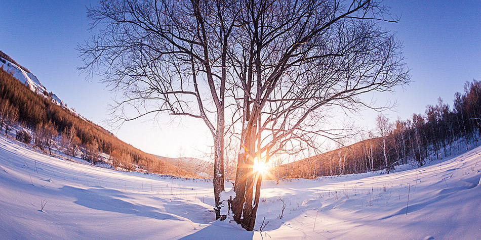 浪淘沙·飞雪戏南风