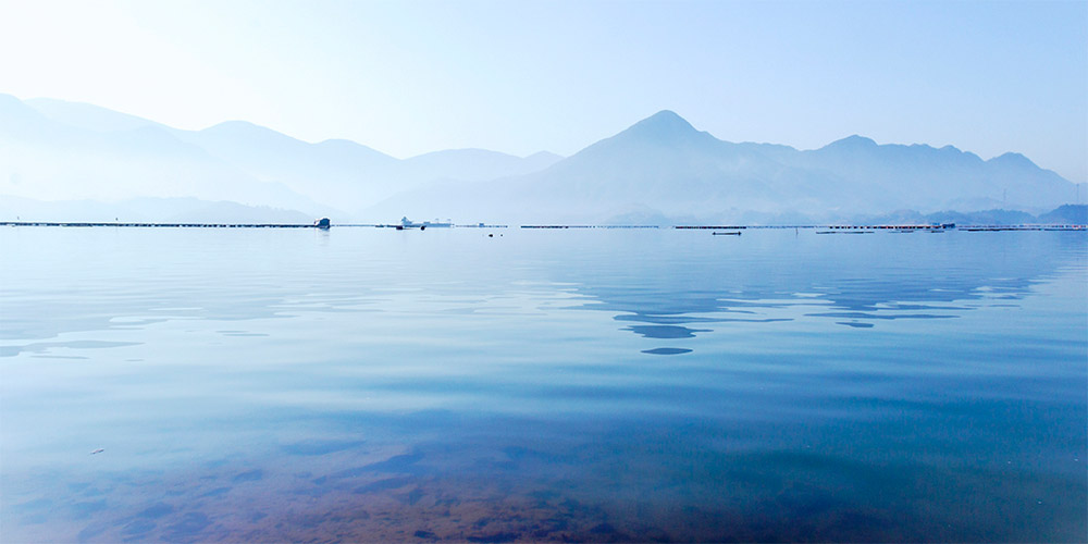 我看见你的面前有条河流