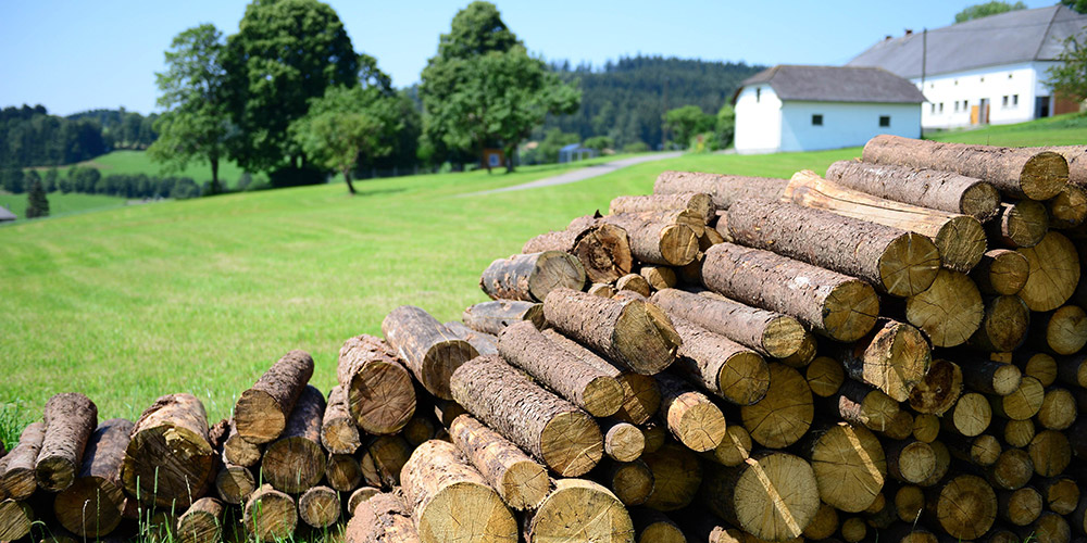 太阳之下只是捆柴火