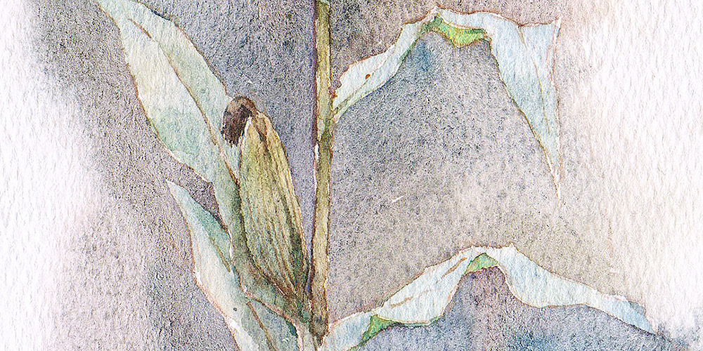 给沉淀一个机会