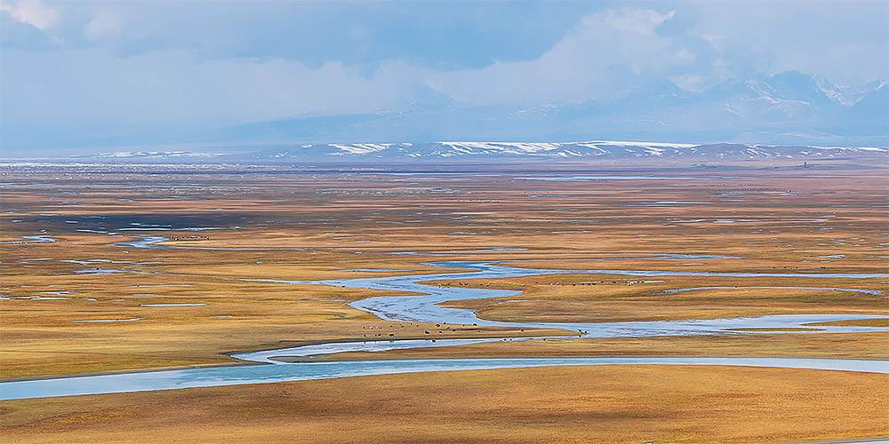 秋声秋色秋的心情