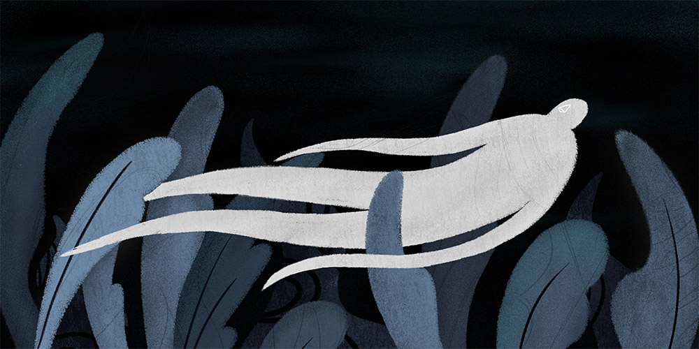 没有支点的悬浮