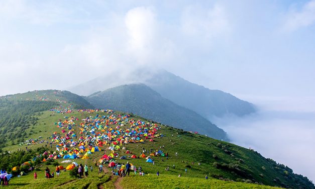 山亭柳·登海坨