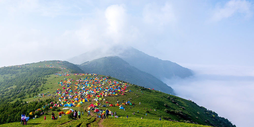 山亭柳·登海坨