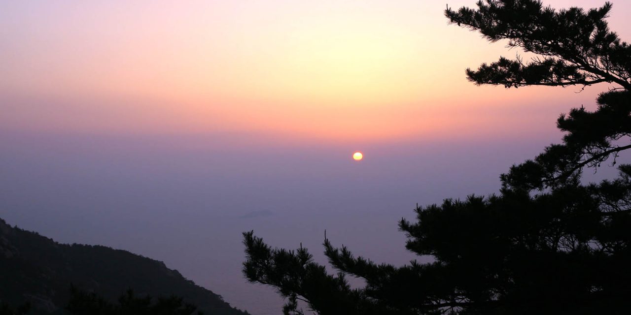 青岛行
